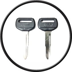 Duplicados