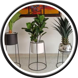 Soportes