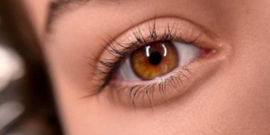 Litingh de Pestañas